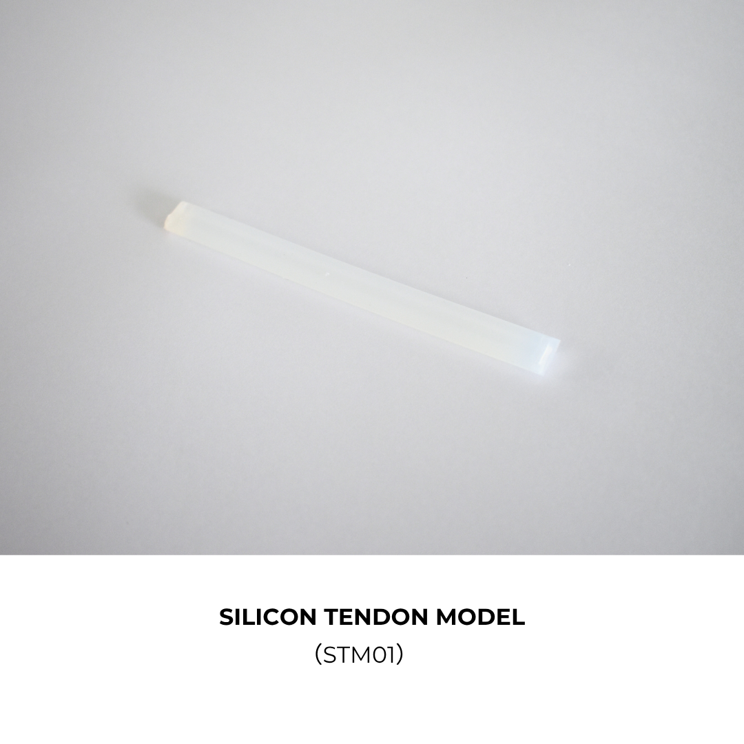 SILICON TENDON MODEL(STM01)